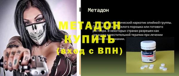 индика Богданович