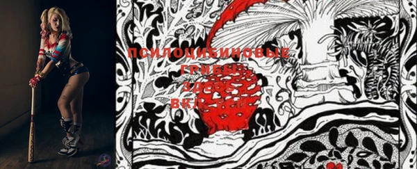 индика Богданович