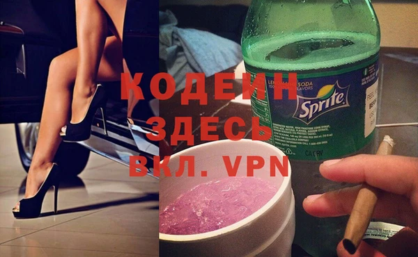 индика Богданович