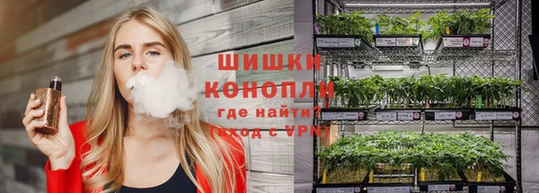 индика Богданович