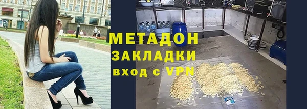 индика Богданович