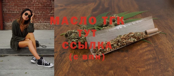 дживик Туринск