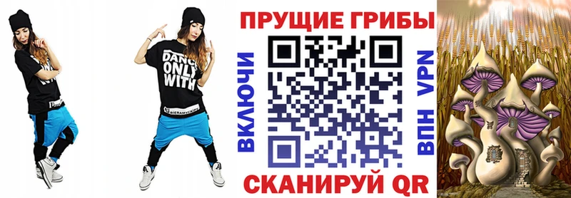наркошоп  Новый Оскол  Галлюциногенные грибы мицелий 